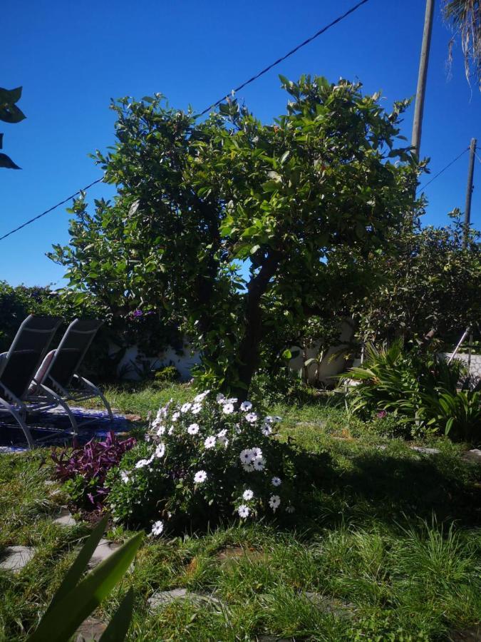 Villa Sila El Paso Εξωτερικό φωτογραφία