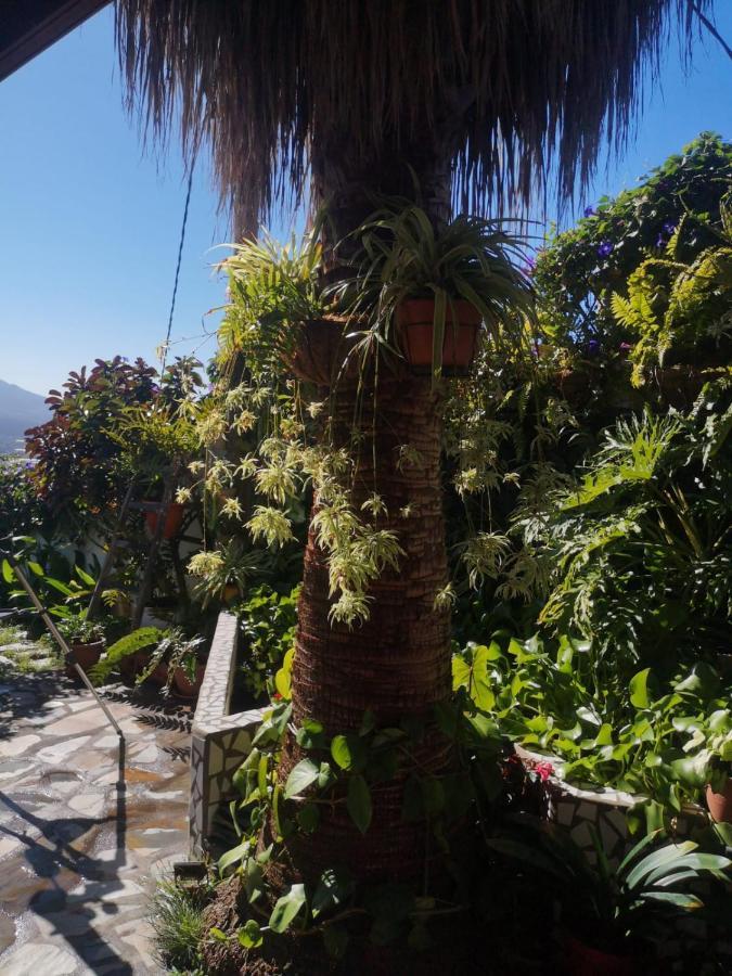 Villa Sila El Paso Εξωτερικό φωτογραφία